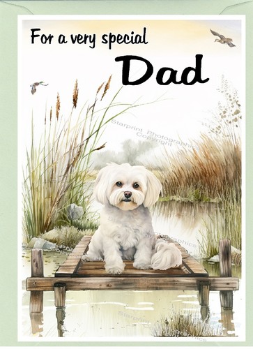 Maltese dog blank card - blank, (6"