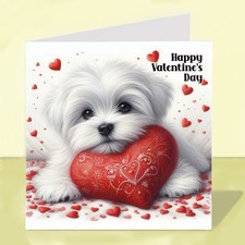 Maltese Dog Valentine’s Day
