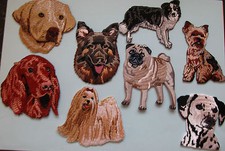 Dog Breed Pug Maltese German