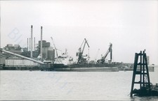 Maltese Mv Alycia at