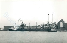 Maltese Pigi, british tugs