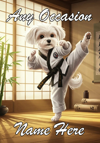 Nai53 maltese martial arts - nai53,